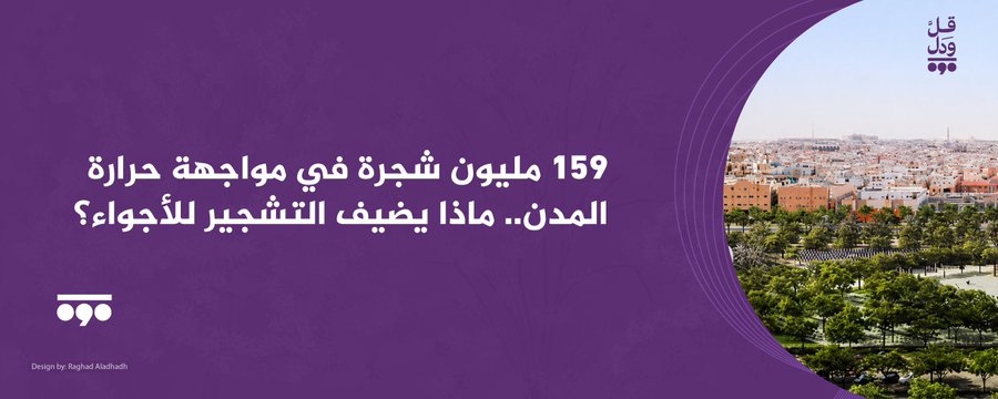 159 مليون شجرة في مواجهة حرارة المدن.. ماذا يضيف التشجير للأجواء؟